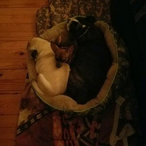 Meet your Posher, Melody